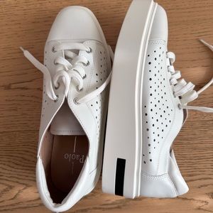 Linea Paulo platform leather sneaker